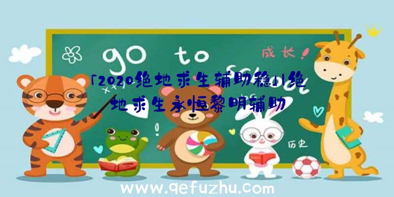 「2020绝地求生辅助稳」|绝地求生永恒黎明辅助